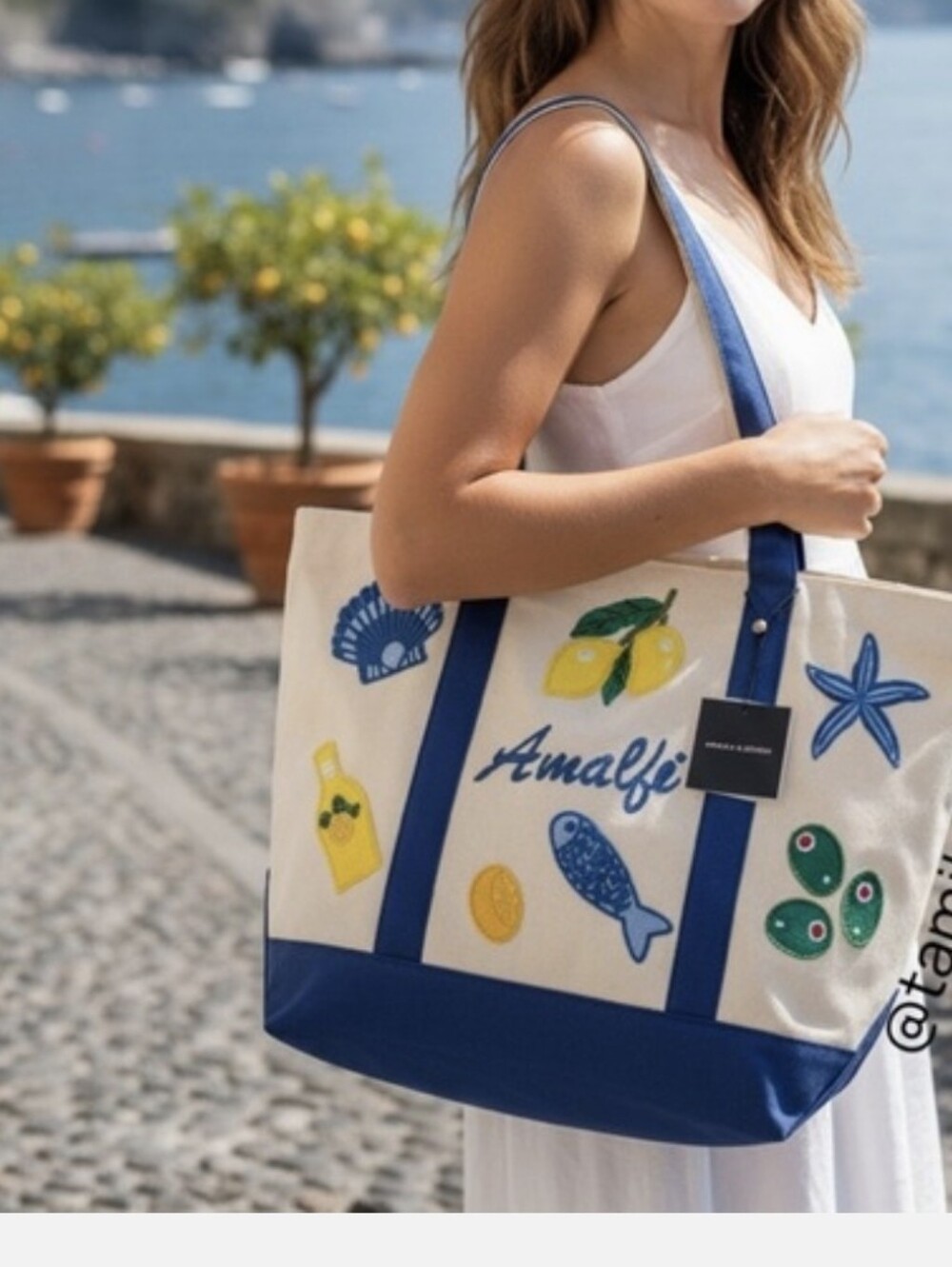 America & Beyond Amalfi Canvas Tote Bag with Blue Trim NWT